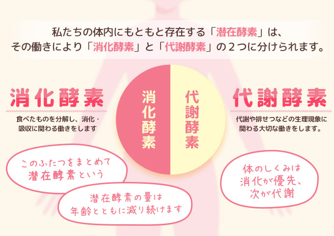 酵素ダイエット2