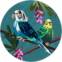 めぎゅ profile picture