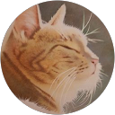 K M profile picture